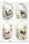 krowy, wiejskie zwierzęta, wiosenne klimaty, rustykalny styl, cows, country animals, springtime climate, rustic style Kühe, Tiere auf dem Lande, Frühlingsklima, rustikaler Stil, vacas, animales de campo, clima primaveral, estilo rústico