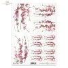 flower, flowers, leaf, leaves, flower petals, blossoming apple tree, apple tree flower