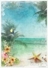 Zestaw kreatywny na papierze ryżowym - Tropikalne marzenia*Creative set on rice paper - Tropical dreams