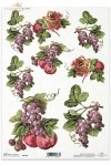 owoce, czerwone, winogrona, winogrono, martwa natura, R183, fruits, grapes, grape, apple, still life, frutas, uvas, fruta, rojo, uva , Obst, Rotwein, Weintraube, Traube, Stilleben, Früchte, Trauben