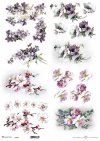 wiosenne kwiaty, kwiaty owocowe, fiołki, mak wschodni*spring flowers, fruit flowers, violets, eastern poppies*Frühlingsblumen, Obstblumen, Veilchen, Klatschmohn*flores de primavera, flores frutales, violetas, amapolas orientales