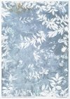 Seria Decorated with Frost*Series Decorated with Frost*Serie - Mit Frost verziert*Serie - Decorado con escarcha