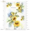 słonecznik, kwiat, ogród, łąka, wiosna, autorka grafiki Maria Kopeć, R913, sunflower, flower, garden, meadow, spring, Sonnenblume, Blume, Garten, Wiese, Frühling, girasol, flor, jardín, prado, primavera