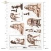 female nudes, woman, women, art prints, contemporary painting, Joanna Maloszczyk, contemporary artist, weiblicher Akt, weibliche Akte, Frau, Frauen, Kunstdrucke, zeitgenössische Malerei, zeitgenössische Künstlerin