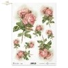 retro, róże, bukiet różany, bukiety, kwiaty róży, gałązki różane, pąki, pączki, liście, listki, ogród, retro, roses, bouquets, rose flowers, rose branches, buds, leaves, foliage, garden, Retro, Rosen, Rosenstrauß, Sträuße