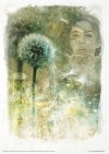 Seria - Herbalist - Zielarka*Series - Herbalist*Serie - Kräutermedizin*Serie - Hierbas