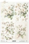 kwiaty 3D, jabłoń*3D flowers, apple tree*3D-Blumen, Apfelbaum*Flores 3D, manzano