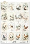 gęsie, kaczki, koguty, kury, kurczaki, wiejskie zwierzęta, wiosenne klimaty, rustykalny styl gansos, patos, gallos, gallinas, pollos, animales de campo, animales de primavera, rústico, estilo rústico geese, ducks, roosters, hens, chickens, country animals
