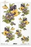 kolory, kwiat, wiaty, bukiety,  bratek, bratki, ogród, łąka,  R165, pansies, colorful, summer, bouquet, flower,  flowers, meadow, garden, lila und gelbe Stiefmütterchen , Garten, pensamientos morados y amarillos 