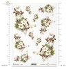 zawilec, zawilce, leśne kwiaty, wiosna, pora roku przedwiośnie, R677, forest flowers, spring, pre-winter season, Waldblumen, Frühling, Vorwinterzeit, flores del bosque, primavera, temporada pre-invierno