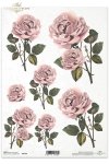 kwiaty, pudrowe róże, różyczki, róża, ogród, R169, gently, purple, rose, roses, flower, flowers, garden, sanft lila Rosen. Schöne subtile Rosen, einzelne lila Blumen, Garten, rosas rosadas. Hermosas rosas sutiles, flores rosadas 
