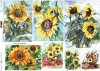 Papel Decoupage pintura contemporánea, girasoles*Бумага Декупаж современная живопись, подсолнухи*Papier Decoupagepapier zeitgenössische Malerei, Sonnenblumen