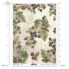 gooseberry, fruits, wild blackberry, blackberry branches, garden, old inscriptions, retro, handwriting, old paper, letter, vegetable background, Stachelbeere, Obst, wilde Fruchte, wilde Brombeere, Brombeerzweige, Garten,