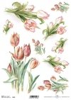 tulipanes de papel decoupage*decoupage papír tulipány*Decoupage Papier Tulpen