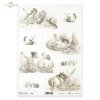 Wielkanoc, vintage, retro, elf, wróżka, anioł, zając, królik, kurczak, pisklak, jajko, jajka, skrzydło, skrzydła, sepia, Easter, fairy, angel, hare, rabbit, chicken, chick, egg, wing, Ostern, Engel, Hase, Kaninchen, Küken, Ei, Flügel,