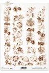 flower, flowers, butterfly, butterflies, daisy, lily of the valley, clove, cloves, strawberry, strawberries
