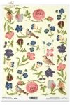 small flowers and bird; flower, flowers, butterfly, butterflies, bird, birds, meadow, garden, Wiese, Garten, Blume, Blümchen, Obst, Schmetterling, Vogel, Vögel, Vögelchen, prado, jardín, flor, flores, florkl, fruta