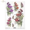 flower, flowers, R390