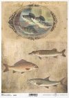 ryba, ryby, wędkarstwo, wędkowanie, łowienie ryb, woda, retro, fish, water, fishing, Fisch, Wasser, Angeln, pez, agua, pesca
