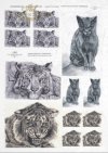 decoupage-zwierzęta-kot-koty-tygrys-grafika-Klaudia-Bezak-R0147
