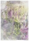 Creative Set MS013 Summer Meadow