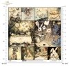 scrapbooking paper SL1787