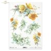 kaczeńce, jaśmin, kwiat, ogród, łąka, wiosna, R961, jasmine, flower, garden, meadow, spring, Jasmin, Blume, Garten, Wiese, Frühling, jazmín, flor, jardín, prado, primavera