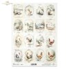 Rice paper R2574