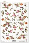 łąka, ogród, R096, flower, flowers, meadow, garden, roses, daisies, pansies, rosas, margaritas, pensamientos y nomeolvides, flores , Rosen, Gänseblümchen, Stiefmütterchen und Vergissmeinnicht, Blumen 