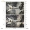 angels, angelic, phantoms, demons, wings, good, evil, mystery, woman, women, Schwarz-Weiß, Engel, engelhaft, Gespenster, Dämonen, Flügel, gut, böse, Geheimnis, Frauen, Blanco y Negro, ángeles, angelical, fantasmas