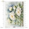 letnie kwiaty, bukiet kwiatów*Summer flowers, flower bouquet*Sommerblumen, Blumenstrauß