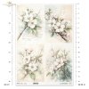 kwiaty flowers Blumen flores 