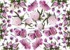 Decoupage paper ITD D0114M
