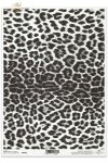 skóra, jaguara, jaguar, R083, jaguar, skin, cuero jaguar, Jaguar Leder 