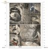 mystery, good, evil, fairy tales, Brothers Grimm, Sleeping Beauty, Little Red Riding Hood, Hansel and Gretel, Rapunzel, high tower, castle, castle, palace, Baba Yaga's cottage, Cinderella, Schwarz-Weiß, Mystery, Gut