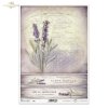 lawenda, lawendy, lawendowe, kwiat, ogród, łąka, wiosna, lato, z lawendą, francuskie faktury, R982, lavender, flower, garden, meadow, spring, summer, Lavendel, Blume, Garten, Wiese, Frühling, Sommer, lavanda, flor, jardín, prado, primavera, verano