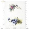 wiosenne kwiaty, chaber, chabry, koniczyna, koniczynka, łąka, ogród, wiosna, Flower Post, spring flowers, cornflower, cornflowers, clover, meadow, garden, spring, Frühlingsblumen, Kornblume, Kornblumen, Klee, Wiese, Garten