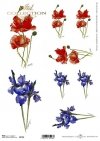 kwiaty polne, maki, irysy*field flowers, poppies, irises*Feldblumen, Mohnblumen, Schwertlilien*flores de campo, amapolas, lirios