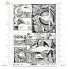 female nudes, woman, women, art prints, contemporary painting, Joanna Maloszczyk, contemporary artist, weiblicher Akt, weibliche Akte, Frau, Frauen, Kunstdrucke, zeitgenössische Malerei, zeitgenössische Künstlerin