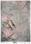 róża, róże, kwiat, ptak, ogród, pastelowe tło, list, ręczne pismo, R978, rose, flower, bird, garden, pastel background, letter, handwriting, Rose, Blume, Vogel, Garten, pastellfarbener Hintergrund, Buchstabe, Handschrift, rosa, flor, pájaro, jardín, fondo