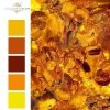 Zanurzone w bursztynie * Mini set - Submerged in amber - colours 1
