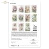 Conjunto Creativo RP074 - Summer Bouquet