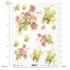 prymulka, prymulki, kwiat, ogród, łąka, wiosna, R960, primulas, flower, garden, meadow, spring, Primeln, Blume, Garten, Wiese, Frühling, prímulas, flor, jardín, prado, primavera