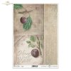śliwka, śliwki, owoce, gałązka, liście, stare napisy, retro, ręczne pismo, stary papier, list, tło, dekory, ornamenty, narożniki, home sweet home, plum, plums, fruit, branch, leaves, old lettering, retro, handwriting