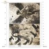 demons, transformation, woman, women, man, ravens, crows, rooks, birds, evil, mystery, wing, wings, Schwarz & Weiß, Dämonen, Verwandlung, Frauen, Mann, Raben, Krähen, Vögel, böse, Geheimnis, Flügel, Blanco y Negro