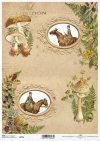 mushroom picking, horse, hunt, riders in hunting costumes, hunting, Rahmen, Jagd, Pilze, Pferd, Reiter in Jagdkostümen, Jagd, Jagen, Pilze sammeln, marco, marco, caza, setas, caballos, jinetes con trajes de caza, caza, recogida de setas