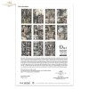 puerta a otro mundo, castillo secreto, puerta secreta, pasaje, efímero, imaginación, ensoñaciones, magia, incertidumbre, niña, niño, sueño, estrellas fugaces, camino hacia lo desconocido, enredaderas, castillo 