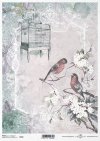 retro, ptak, klatka dla ptaków, ramka, tło, kwiat, kwitnące gałęzie, wiosna, R704, bird, birdcage, frame, background, flower, flowering branches, spring, Vogel, Vogelkäfig, Rahmen, Hintergrund, Blume, blühende Zweige, Frühling, pájaro, jaula, marco, fondo