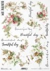 kwiat, kwiaty łąkowe, beautiful day, lato, łąka, ogród, polne kwiaty, bukiet, R864, flower, meadow flowers, beautiful day, summer, meadow, garden, field flowers, bouquet, Blume, Wiesenblumen, beautiful day, Sommer, Wiese, Garten, Feldblumen, Strauß, flor,