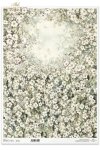 kwiaty flowers Blumen flores 